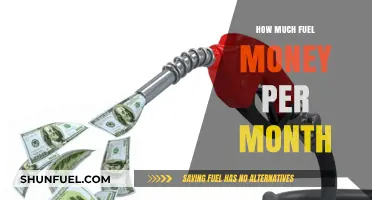 Monthly Fuel Expenses: How Much Does It Cost?