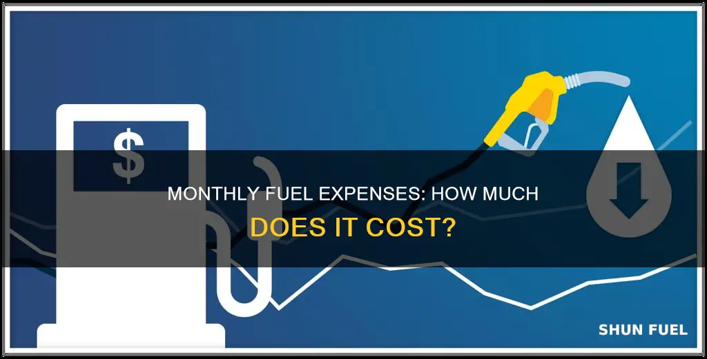 how much fuel money per month