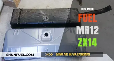 Fuel Efficiency: MR12 vs ZX14