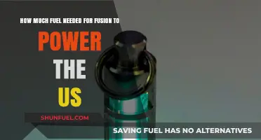The US's Energy Future: Fusion's Fuel Requirements