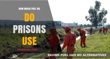 Prisons' Fuel Oil Consumption: A Costly Affair