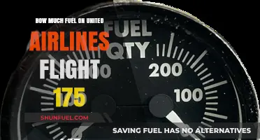 Fuel Factors: United Airlines Flight 175's Consumption