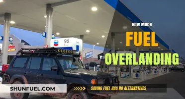 Fuel for Overlanding: How Much is Enough?