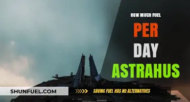 Fuel Consumption of an Astrahus: Daily Breakdown