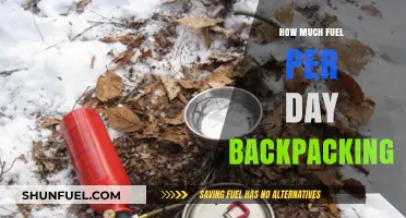 Backpacking Fuel Efficiency: How Much is Enough?