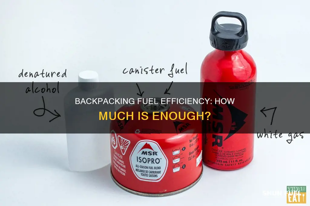 how much fuel per day backpacking
