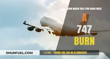 Fuel Consumption of a Jumbo Jet: 747's Massive Burn Rate