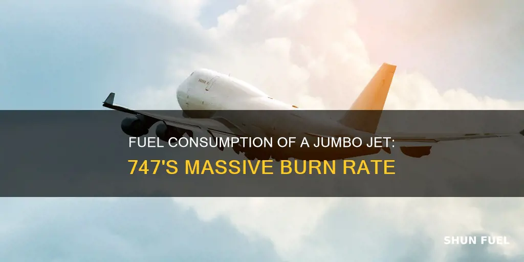 how much fuel per hour does a 747 burn