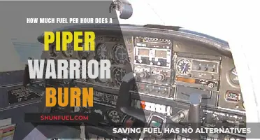 Fuel Efficiency of Piper Warrior: Burning Gallons Per Hour