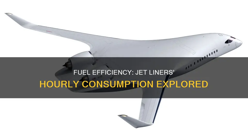 how much fuel per hour for jet liner