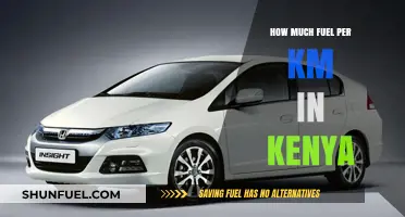 Fuel Efficiency: Kenyan Drivers' Guide to Mileage