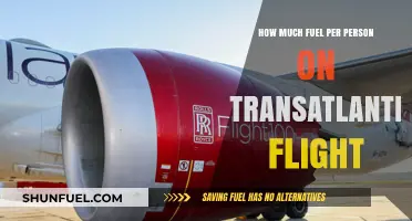 Transatlantic Flights: Fuel Consumption and Passenger Numbers
