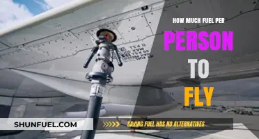 The Impact of Flying: Fuel Consumption Per Person