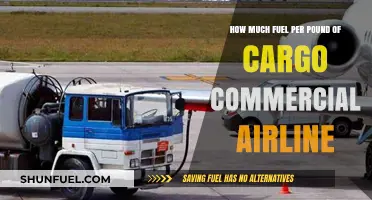Commercial Airlines: Fuel Efficiency and Cargo Transport