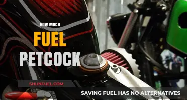 Fuel Petcock: How Much is Too Much?