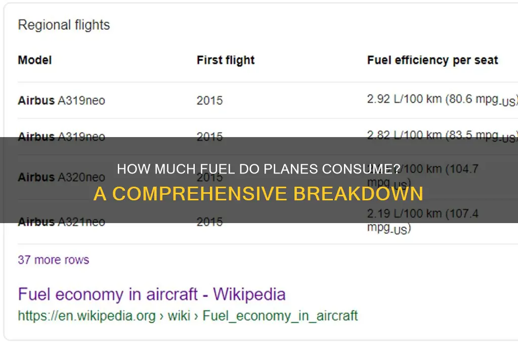 how much fuel plane use