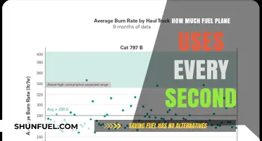 Fuel Consumption: Planes and Their Fuel Usage Rates