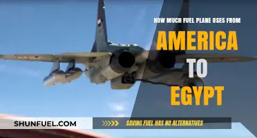 Fuel Consumption: Analyzing Plane Fuel Usage from America to Egypt