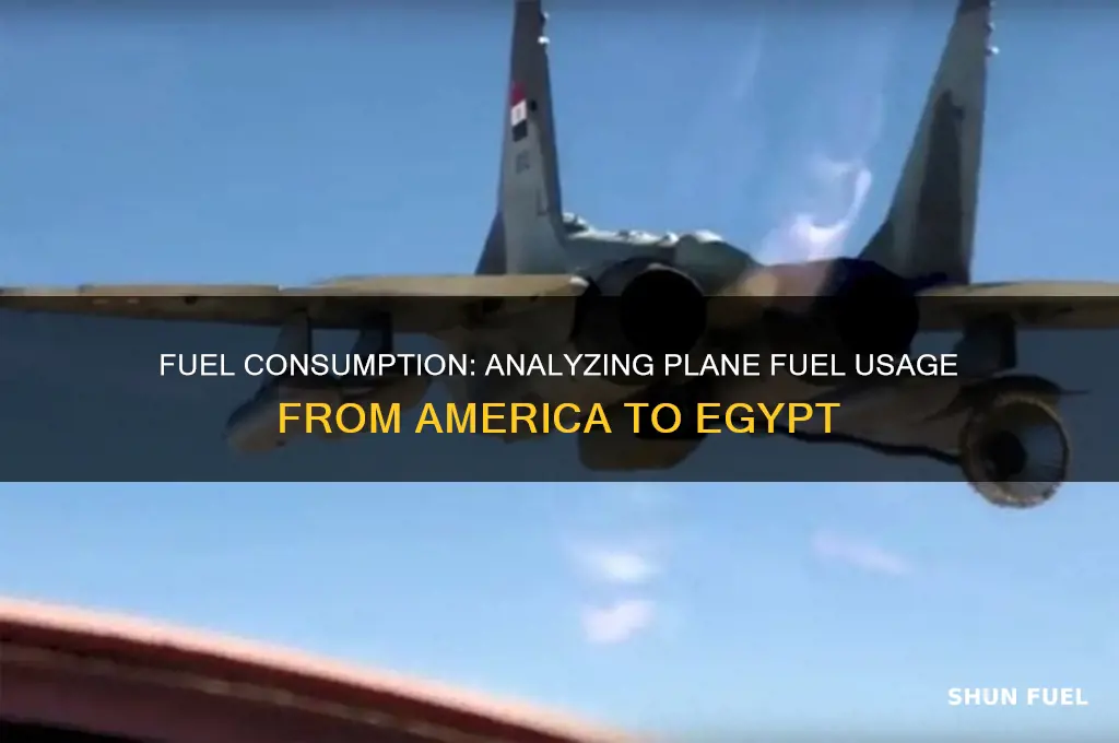 how much fuel plane uses from america to egypt