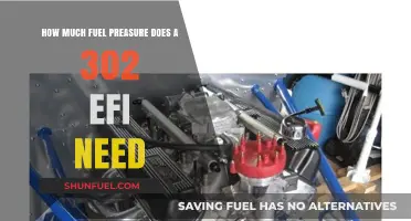 Fuel Pressure Requirements for a 302 EFI Engine