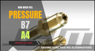 Fuel Pressure Maintenance for Audi B7 A4 Performance