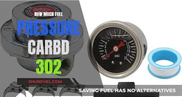 Fuel Pressure Optimization for Carbureted 302 Engines