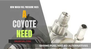 Coyote Fuel Pressure: How Much is Enough?