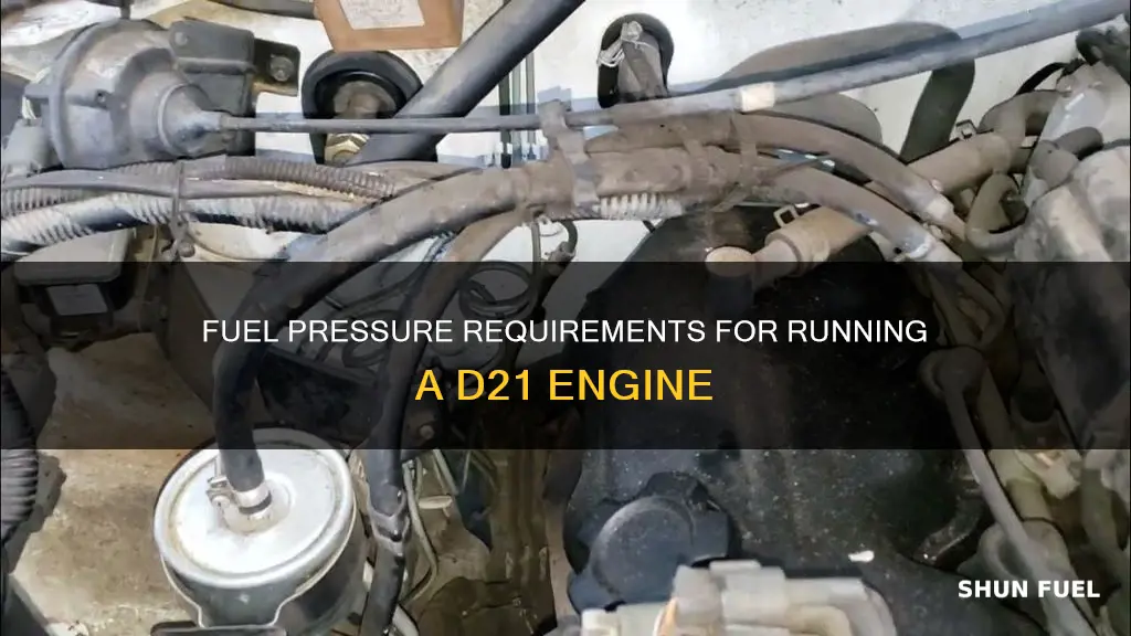 how much fuel pressure does a d21 need to run