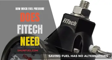 Fuel Pressure Requirements for Fitech Systems: How Much is Enough?