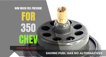 Fuel Pressure Requirements for Optimum Chevy 350 Performance