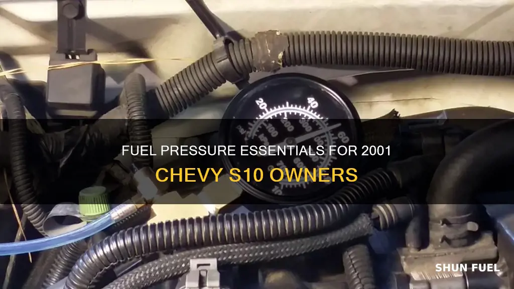 how much fuel pressure for a 2001 chevy s10