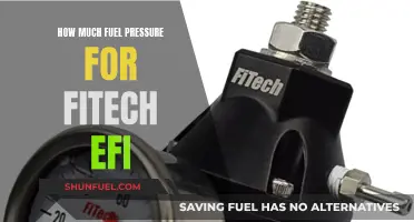 Fuel Pressure Requirements for Fitech EFI Systems