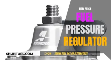 Fuel Pressure Regulator: How Much is Too Much?