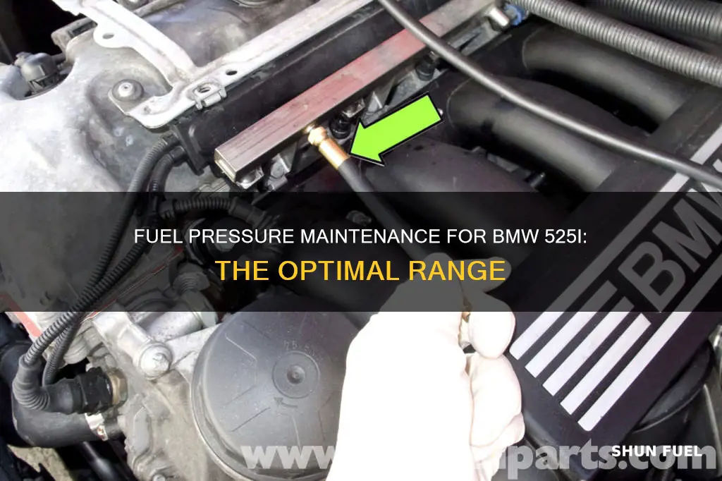 how much fuel pressure should 2001 bmw 525i have