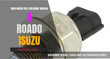 Ideal Fuel Pressure for Road-going Isuzu Engines