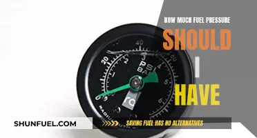 Ideal Fuel Pressure: How Much is Too Much?