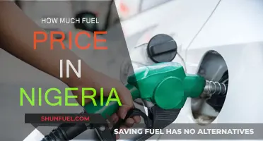 Fuel Price in Nigeria: The Costly Reality