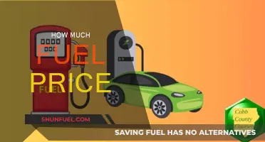 Fuel Price Fluctuations: How Much is Too Much?