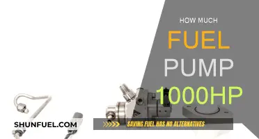 Unleashing 1000HP: Fuel Pump Requirements