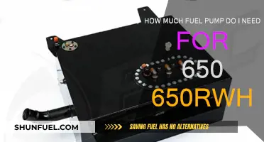 Fuel Pump Requirements for 650-650rwhp: What You Need to Know