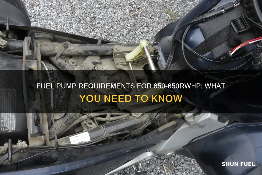 how much fuel pump do i need for 650 650rwhp