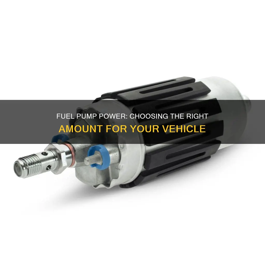 how much fuel pump do i need