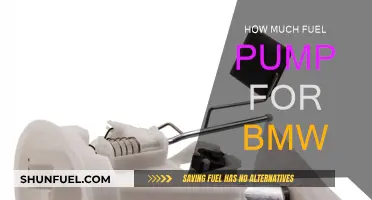 BMW Fuel Pump Replacement: How Much Fuel Pump Do You Need?