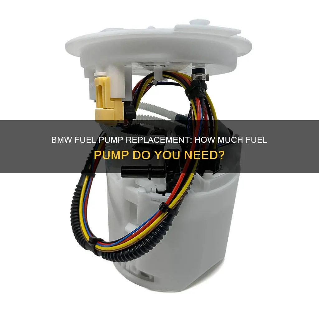 how much fuel pump for bmw