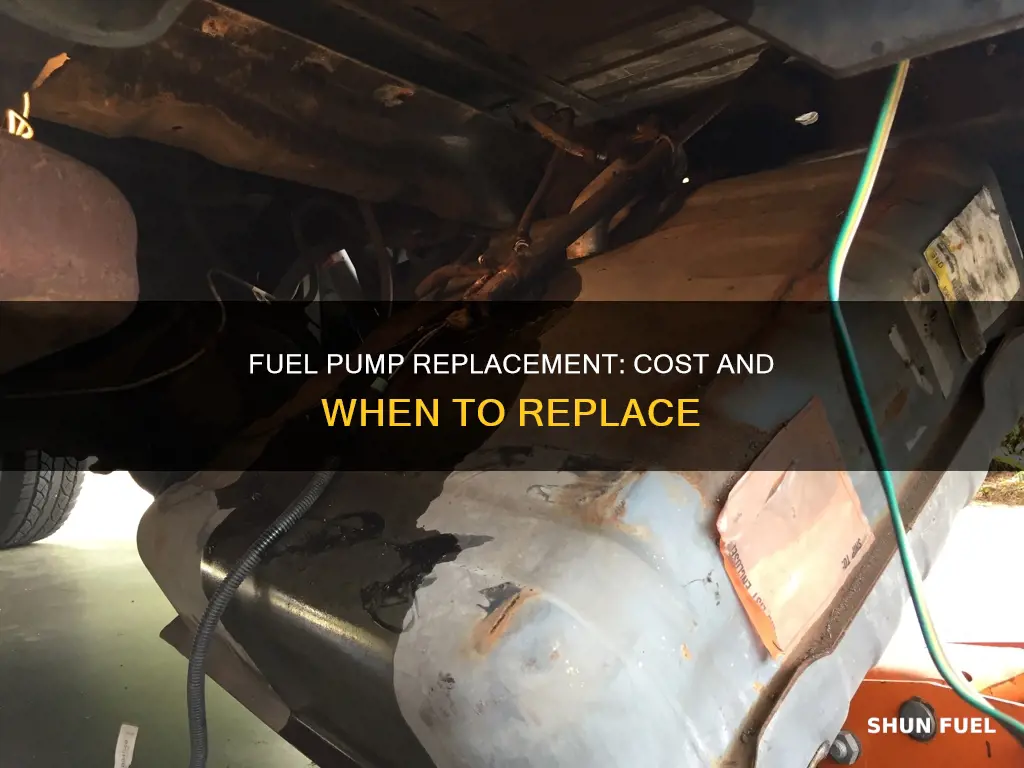 how much fuel pump replace