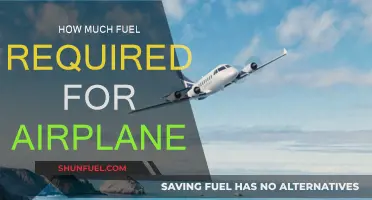 Fuel Efficiency: How Much Does an Airplane Need?