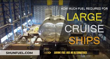 Fuel Consumption of Large Cruise Ships Explained