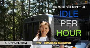 Idling Semi-Truck Fuel Consumption: Hourly Insights