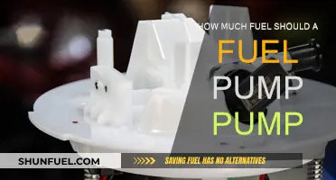 Fuel Pumps: Optimal Fuel Quantity for Efficiency