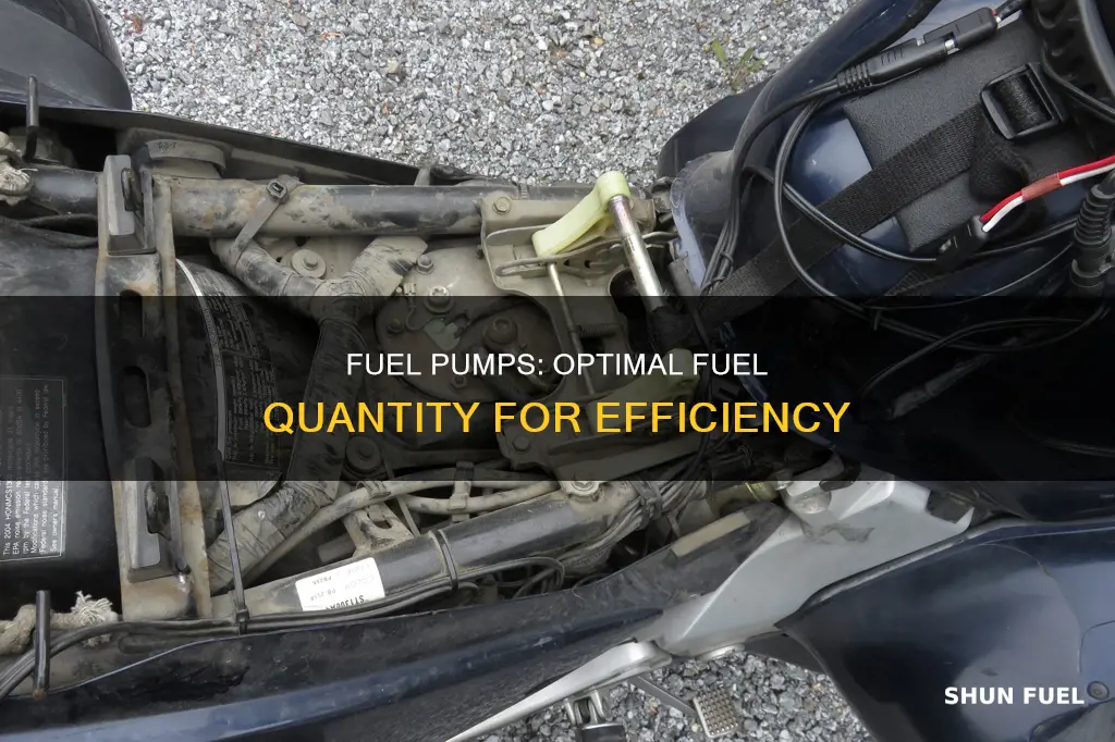 how much fuel should a fuel pump pump